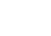 swv nk2